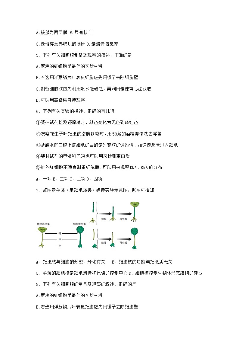 沪教版高中生物必修1第三节遗传信息主要储存在细胞核中作业含答案2第2页