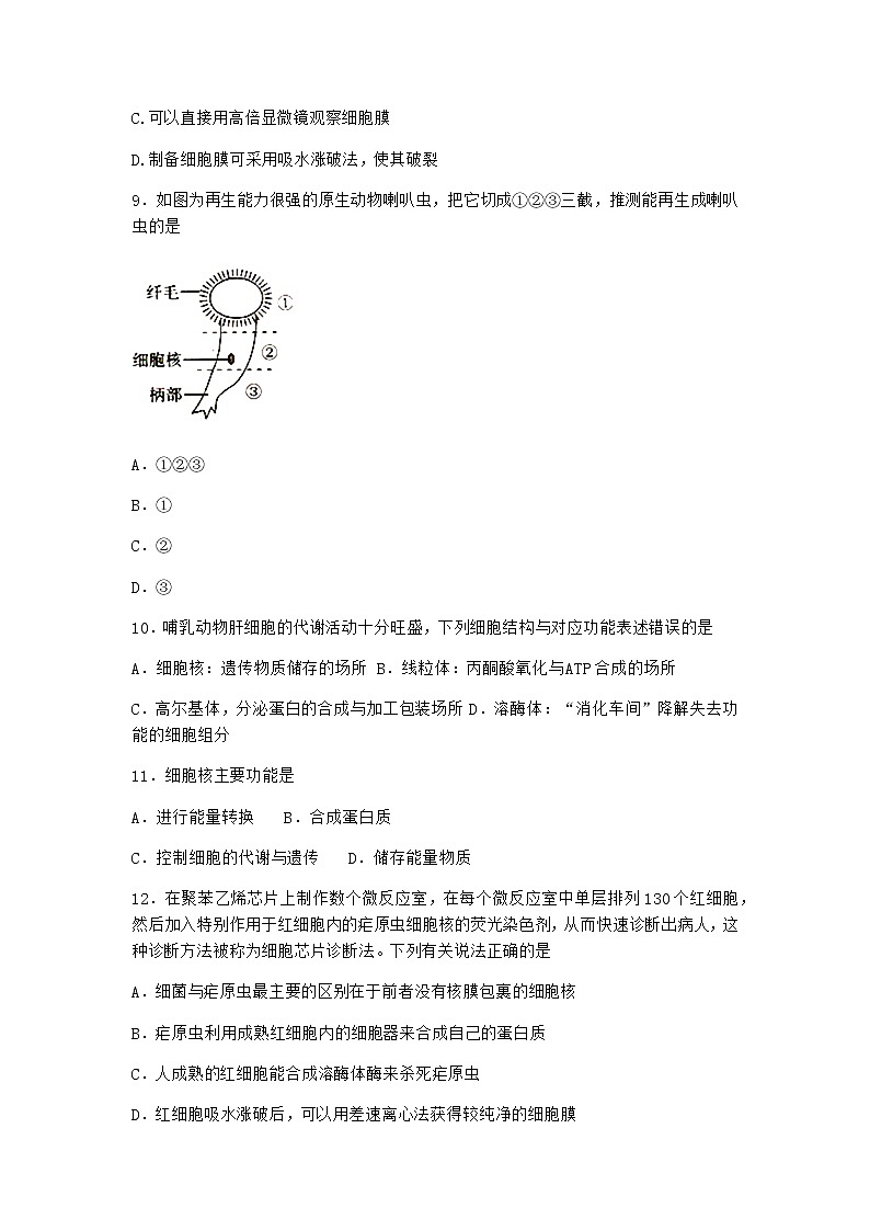 沪教版高中生物必修1第三节遗传信息主要储存在细胞核中作业含答案2第3页
