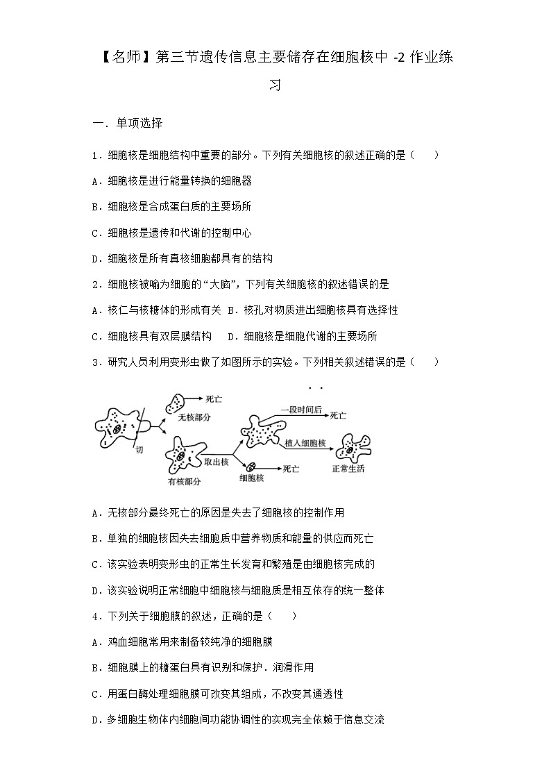 沪教版高中生物必修1第三节遗传信息主要储存在细胞核中作业含答案301