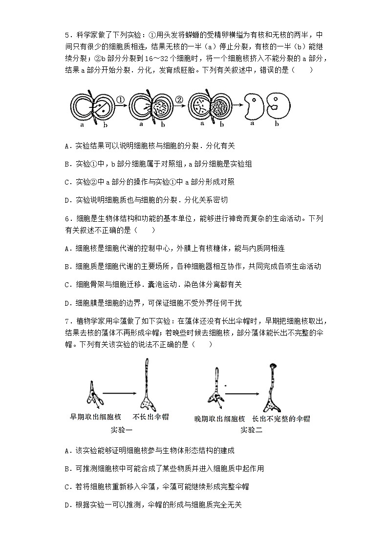 沪教版高中生物必修1第三节遗传信息主要储存在细胞核中作业含答案302