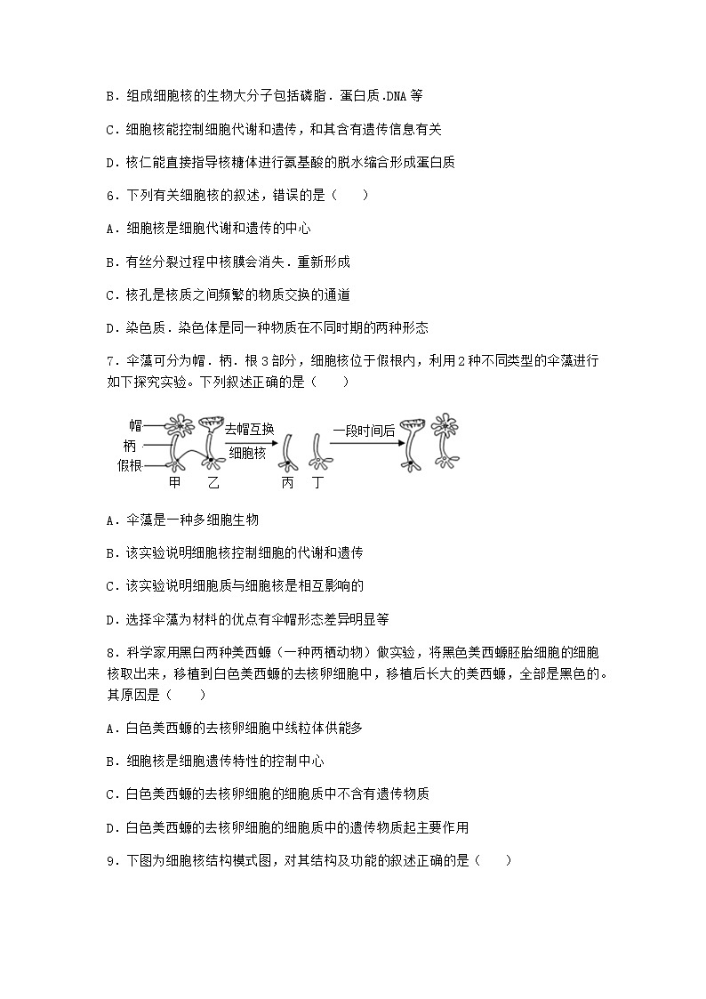 沪教版高中生物必修1第三节遗传信息主要储存在细胞核中作业含答案4第2页