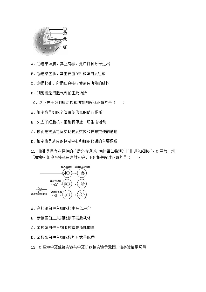 沪教版高中生物必修1第三节遗传信息主要储存在细胞核中作业含答案4第3页