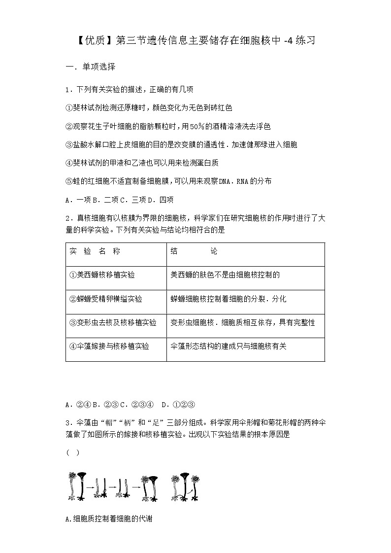 沪教版高中生物必修1第三节遗传信息主要储存在细胞核中作业含答案6第1页