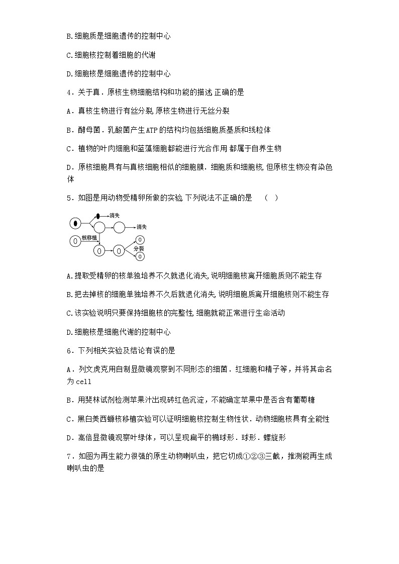 沪教版高中生物必修1第三节遗传信息主要储存在细胞核中作业含答案6第2页