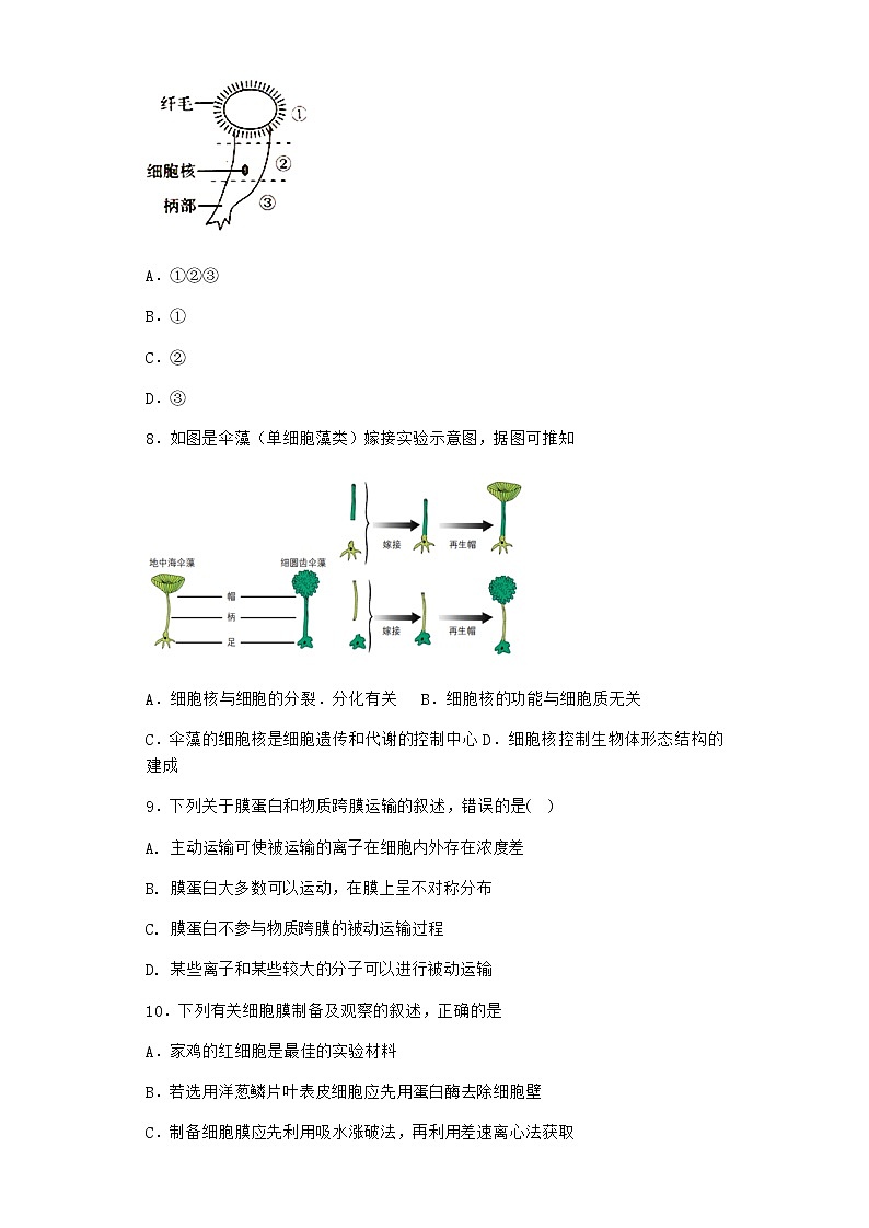 沪教版高中生物必修1第三节遗传信息主要储存在细胞核中作业含答案6第3页