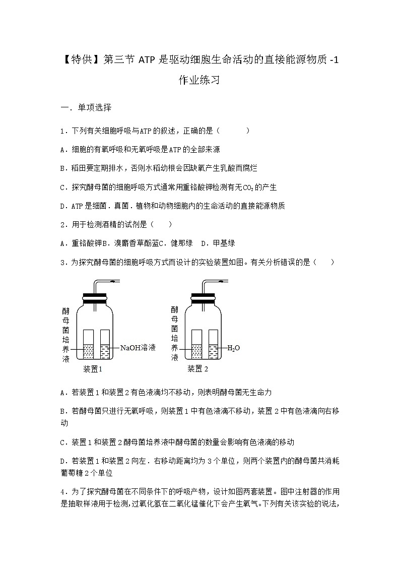 沪教版高中生物必修1第三节ATP是驱动细胞生命活动的直接能源物质作业含答案1第1页