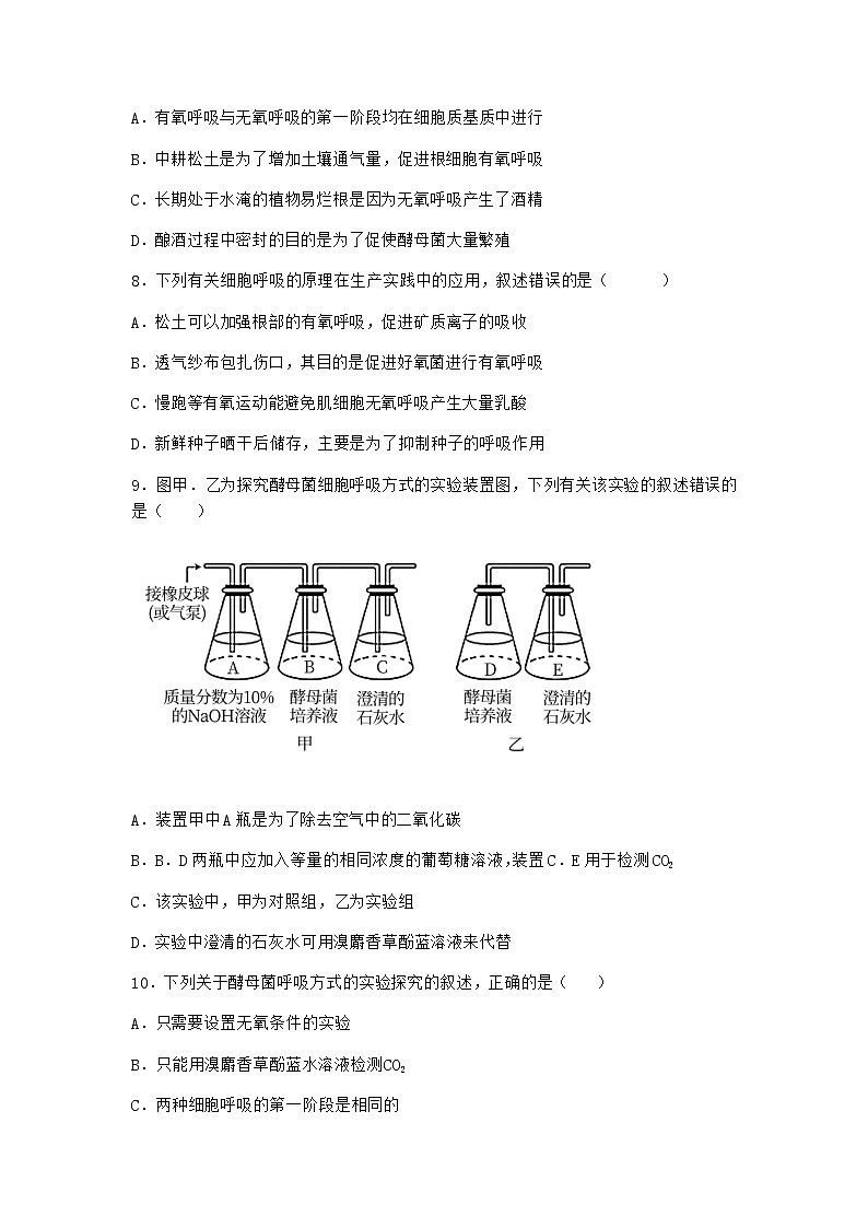 沪教版高中生物必修1第三节ATP是驱动细胞生命活动的直接能源物质作业含答案1第3页