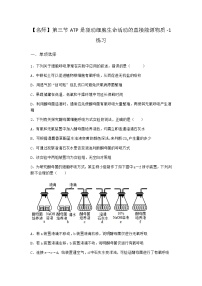 沪科版 (2019)必修1《分子与细胞》第三节 ATP是驱动细胞生命活动的直接能源物质达标测试