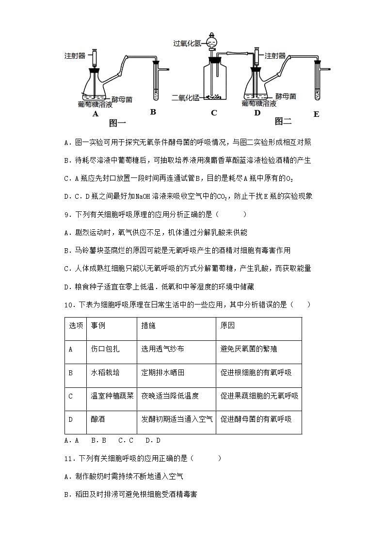 沪教版高中生物必修1第三节ATP是驱动细胞生命活动的直接能源物质作业含答案5第3页