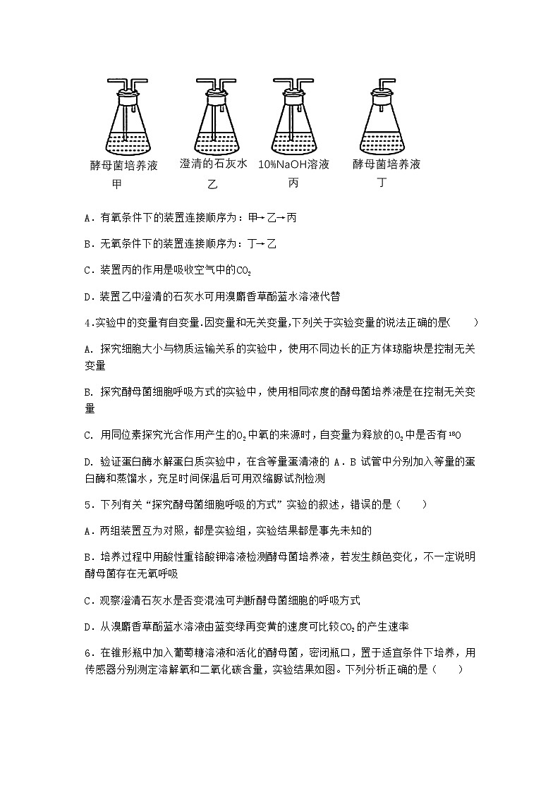 沪教版高中生物必修1第三节ATP是驱动细胞生命活动的直接能源物质作业含答案602