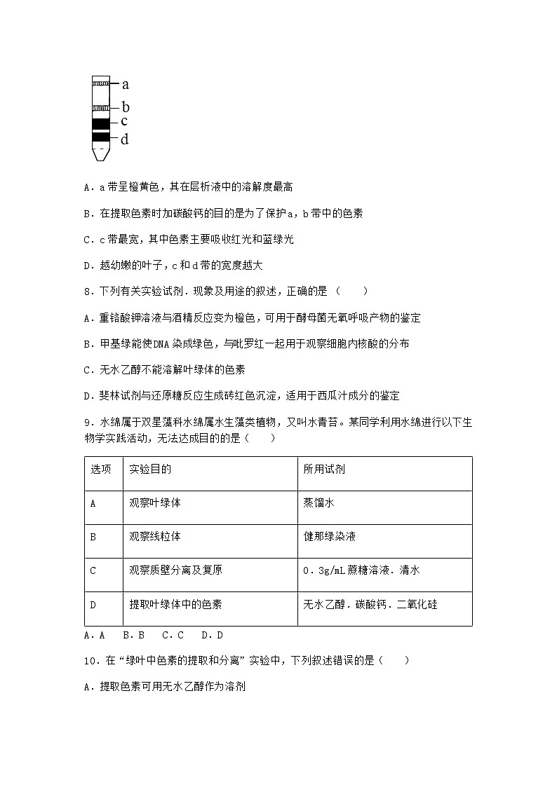 沪教版高中生物必修1第五节细胞能量的供应和利用作业含答案3第3页