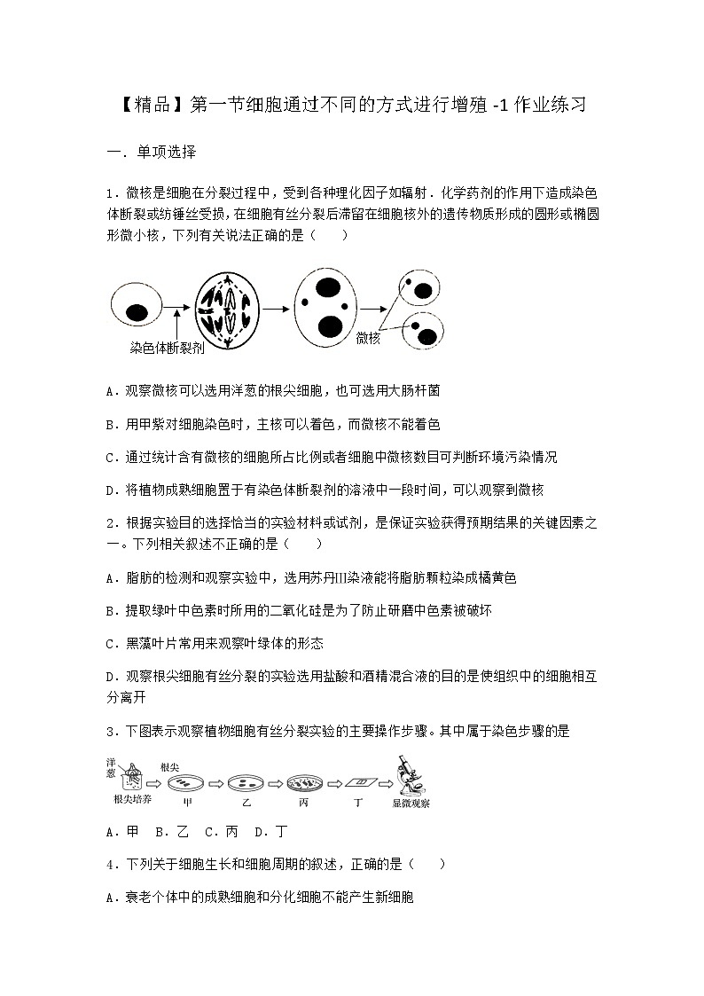 沪教版高中生物必修1第一节细胞通过不同的方式进行增殖作业含答案2第1页