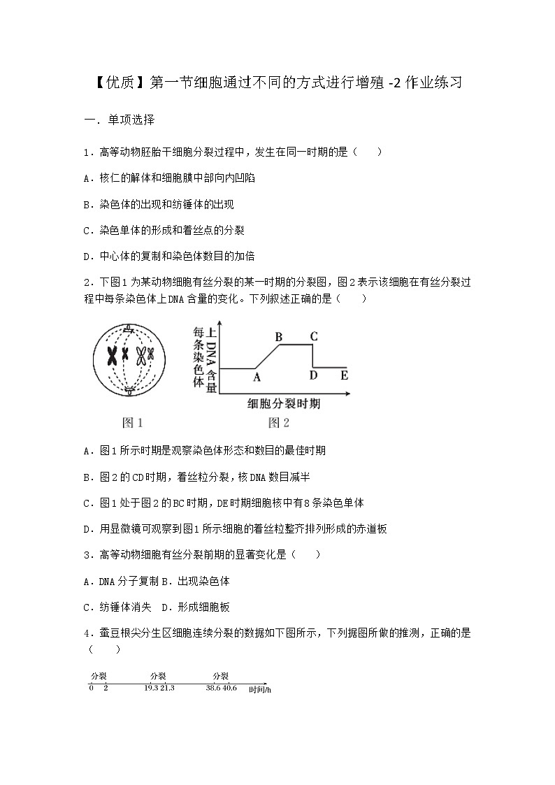 沪教版高中生物必修1第一节细胞通过不同的方式进行增殖作业含答案3第1页