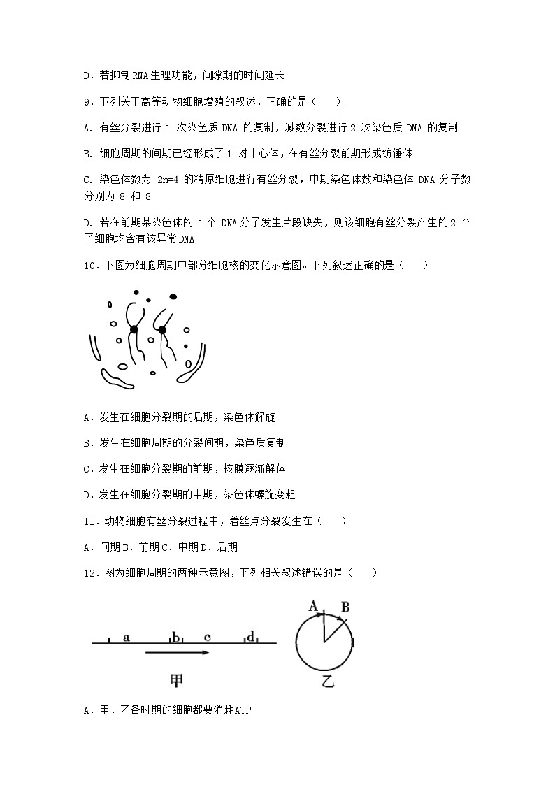 沪教版高中生物必修1第一节细胞通过不同的方式进行增殖作业含答案3第3页