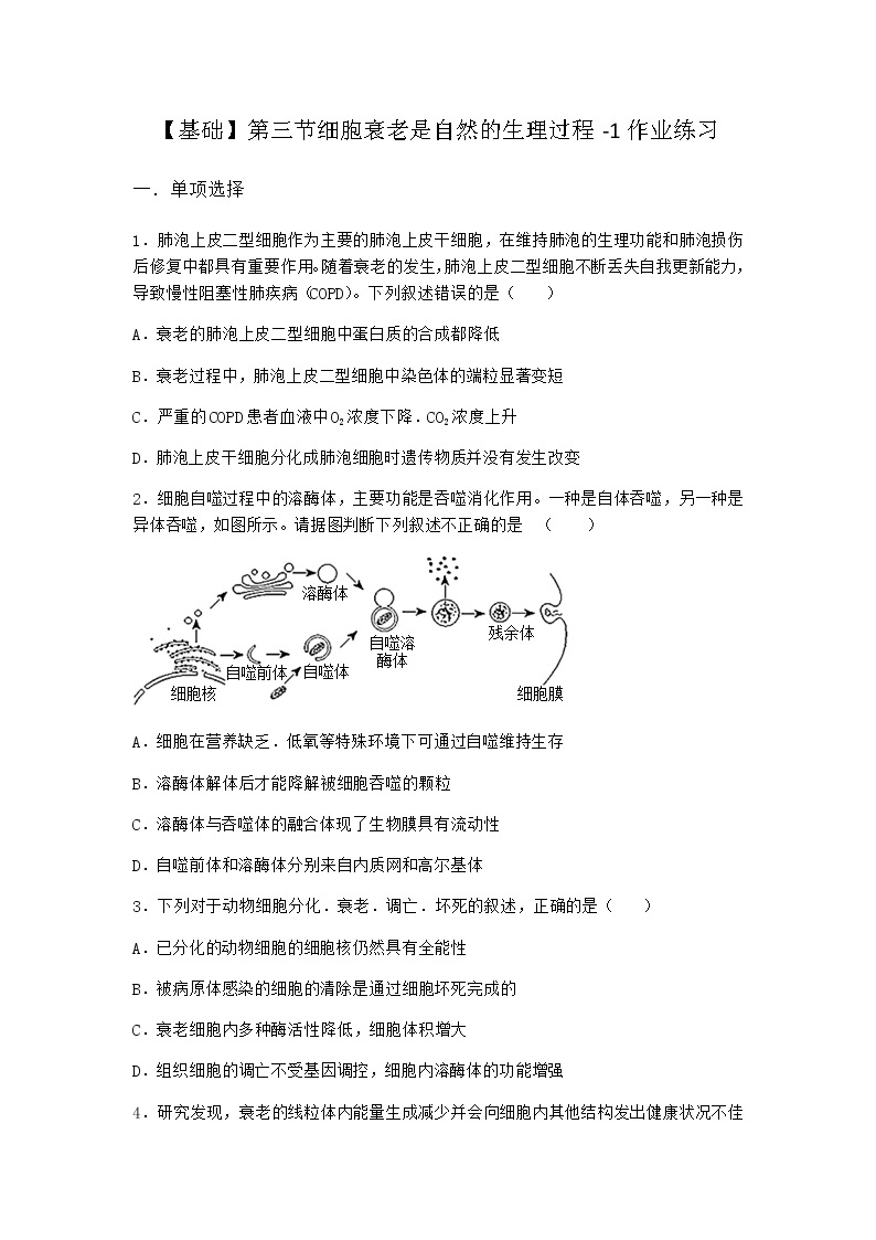 沪教版高中生物必修1第三节细胞衰老是自然的生理过程作业含答案201