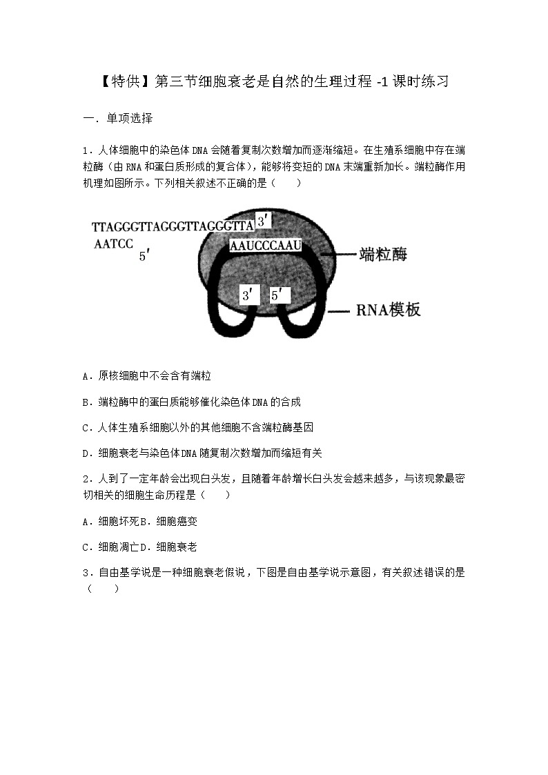 沪教版高中生物必修1第三节细胞衰老是自然的生理过程课时作业含答案第1页