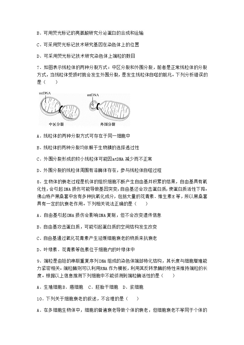 沪教版高中生物必修1第三节细胞衰老是自然的生理过程课时作业含答案第3页