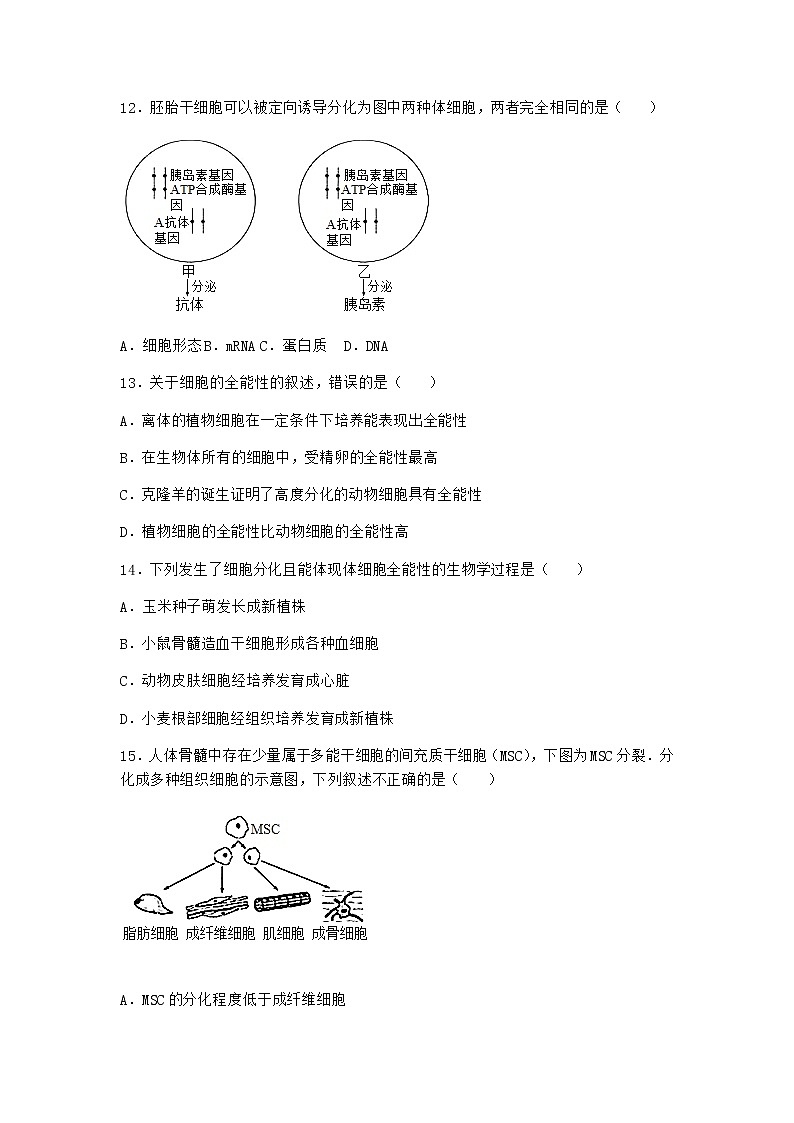 沪教版高中生物必修1第二节细胞会发生特异性分化作业含答案5第3页