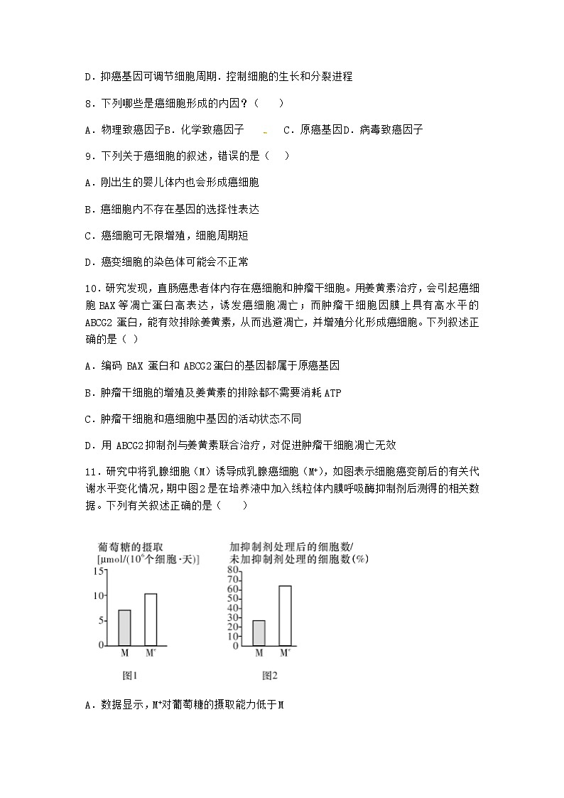沪教版高中生物必修1第四节细胞凋亡是自然的细胞死亡方式作业含答案1第3页
