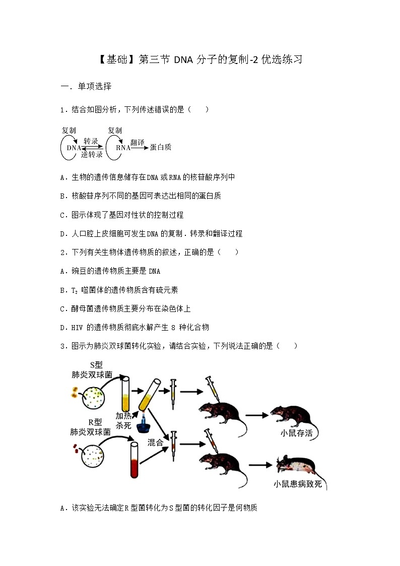 沪教版高中生物必修2第三节DNA分子的复制优选作业含答案2第1页