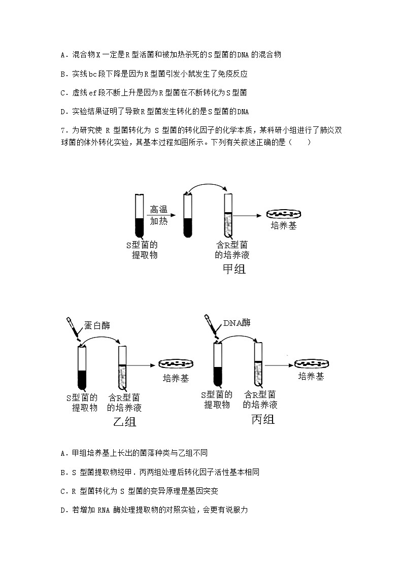 沪教版高中生物必修2第三节DNA分子的复制优选作业含答案2第3页