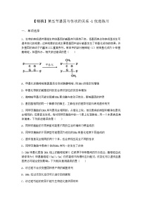 沪科版 (2019)必修2《遗传与进化》第五节 基因与性状的关系习题