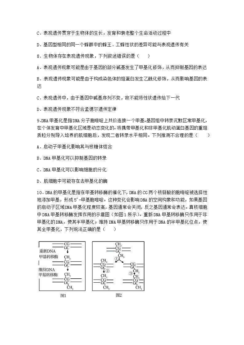 沪教版高中生物必修2第五节基因与性状的关系优选作业含答案2第3页