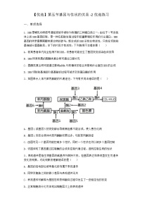 高中生物沪科版 (2019)必修2《遗传与进化》第五节 基因与性状的关系当堂达标检测题