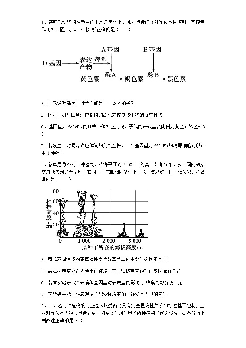 沪教版高中生物必修2第五节基因与性状的关系优选作业含答案4第2页