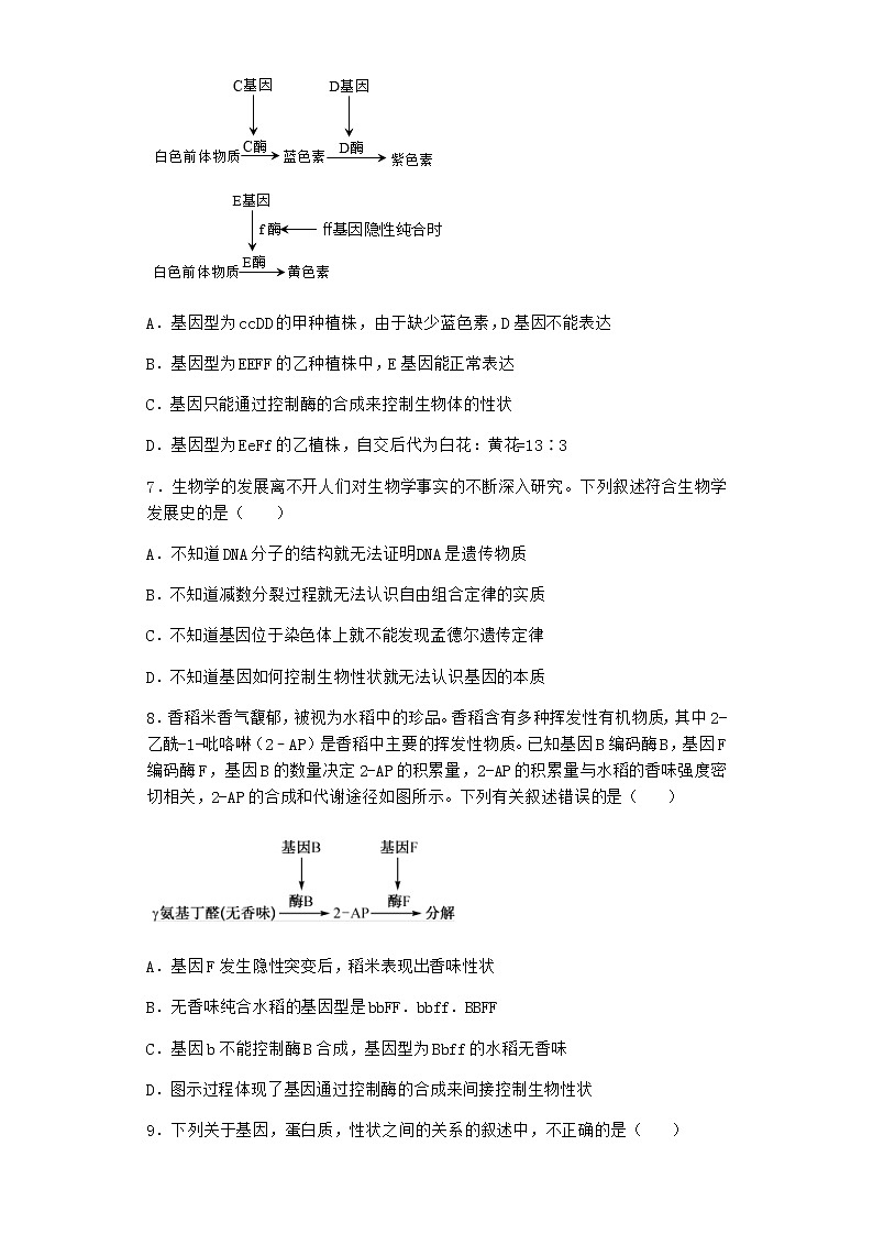 沪教版高中生物必修2第五节基因与性状的关系优选作业含答案4第3页