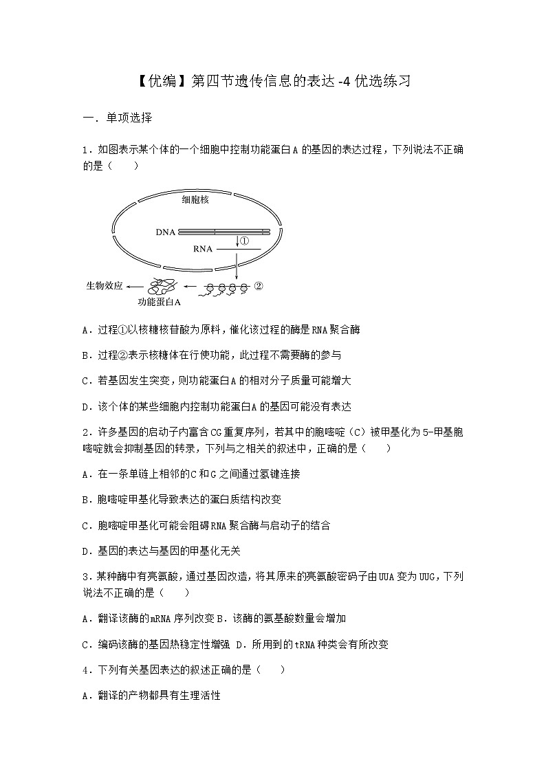 沪教版高中生物必修2第四节遗传信息的表达优选作业含答案2第1页