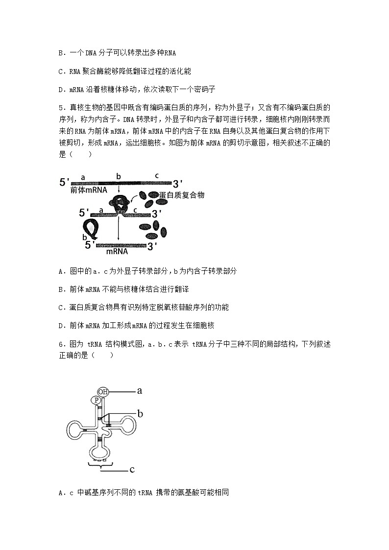 沪教版高中生物必修2第四节遗传信息的表达优选作业含答案2第2页