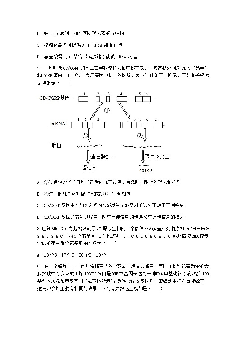 沪教版高中生物必修2第四节遗传信息的表达优选作业含答案2第3页