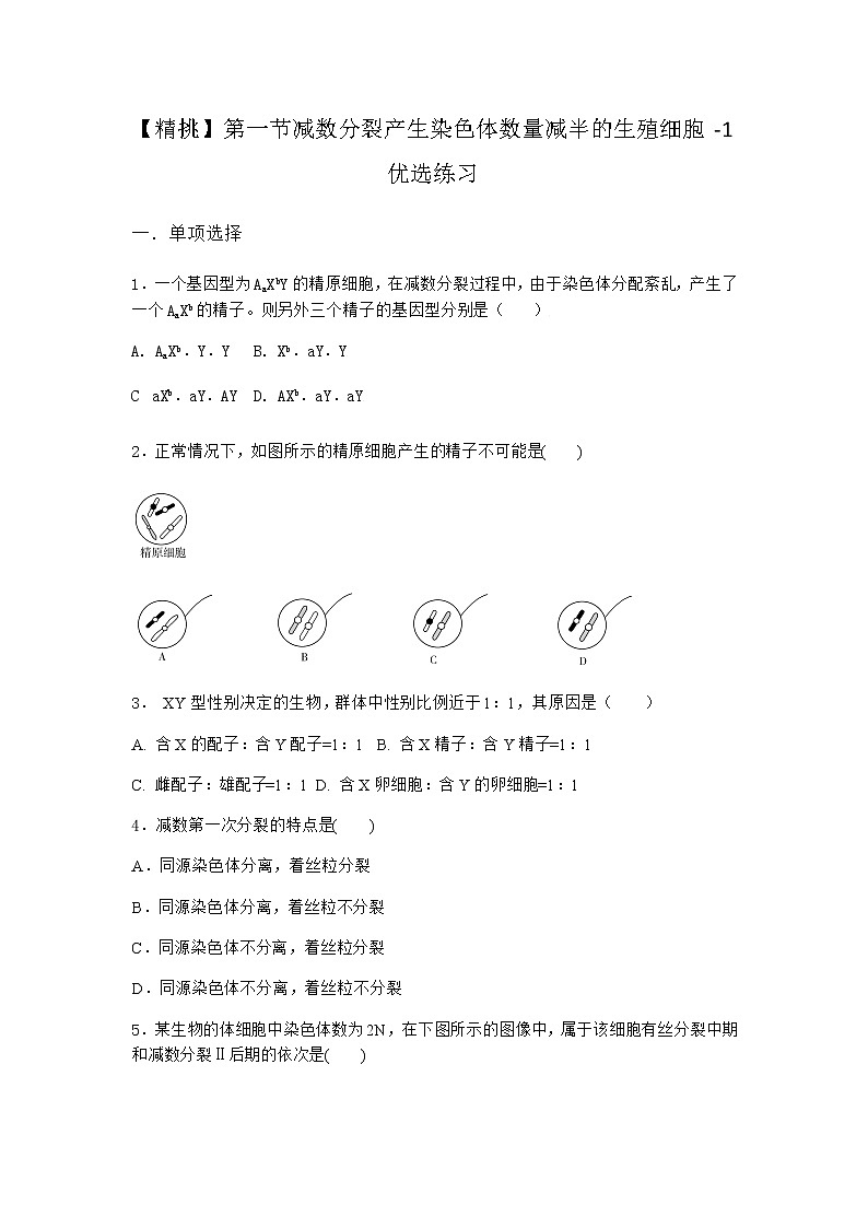 沪教版高中生物必修2第一节减数分裂产生染色体数量减半的生殖细胞优选作业含答案201
