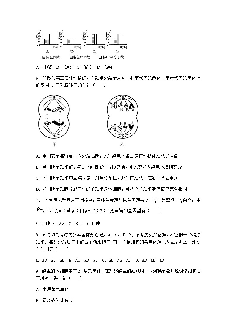 沪教版高中生物必修2第一节减数分裂产生染色体数量减半的生殖细胞优选作业含答案202