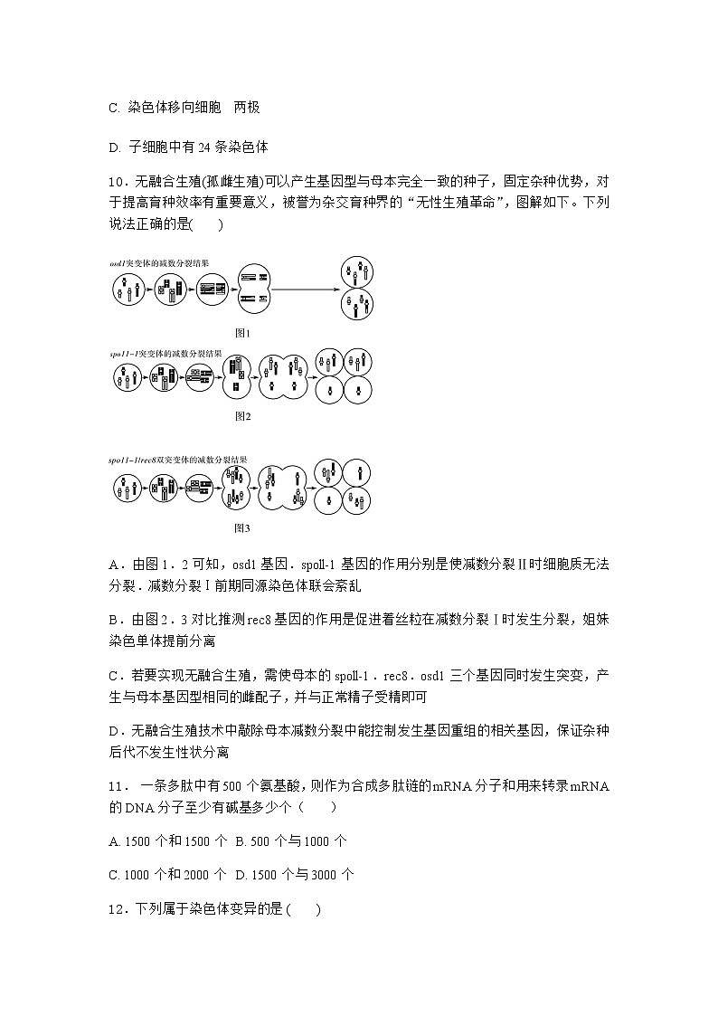 沪教版高中生物必修2第一节减数分裂产生染色体数量减半的生殖细胞优选作业含答案203