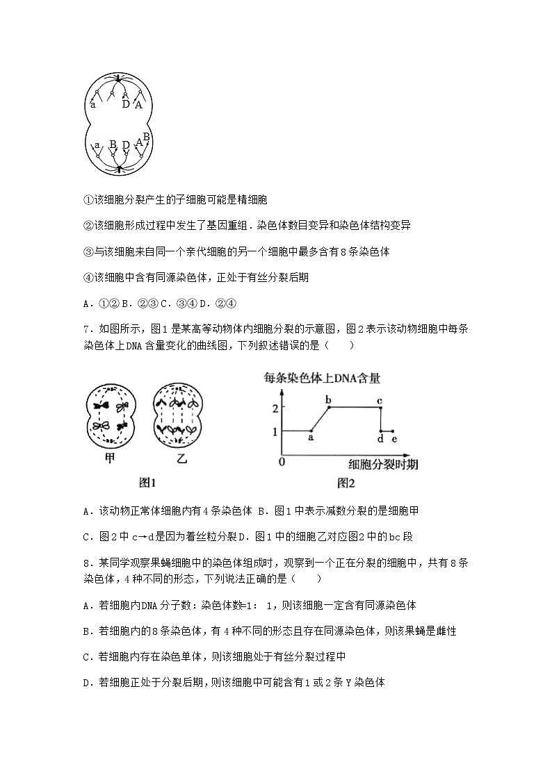 沪教版高中生物必修2第一节减数分裂产生染色体数量减半的生殖细胞优选作业含答案3第3页