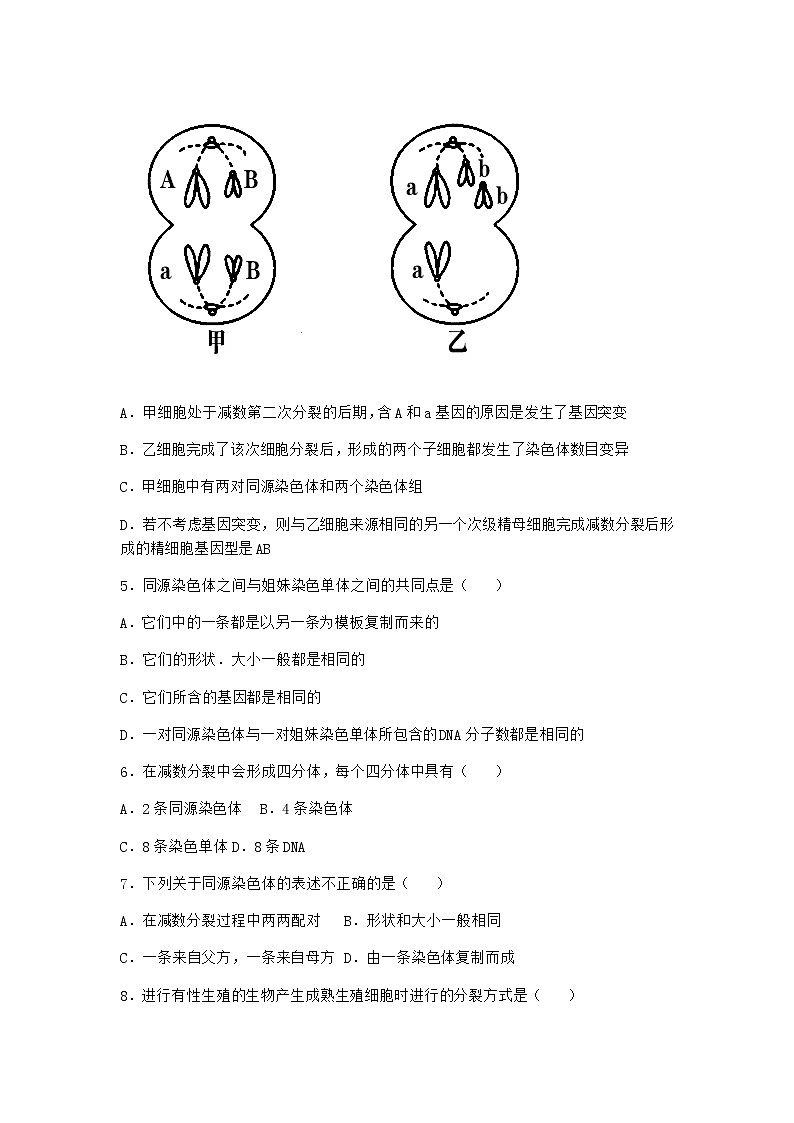 沪教版高中生物必修2第一节减数分裂产生染色体数量减半的生殖细胞优选作业含答案4第2页