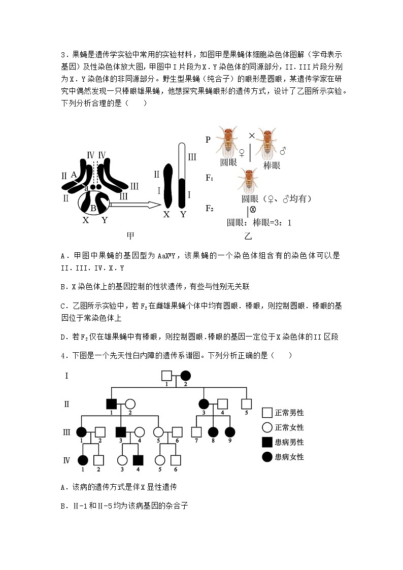 沪教版高中生物必修2第二节有性生殖中遗传信息通过配子传递给子代优选作业含答案202