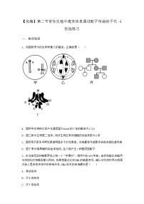 高中生物沪科版 (2019)必修2《遗传与进化》第二节 有性生殖中遗传信息通过配子传递给子代达标测试