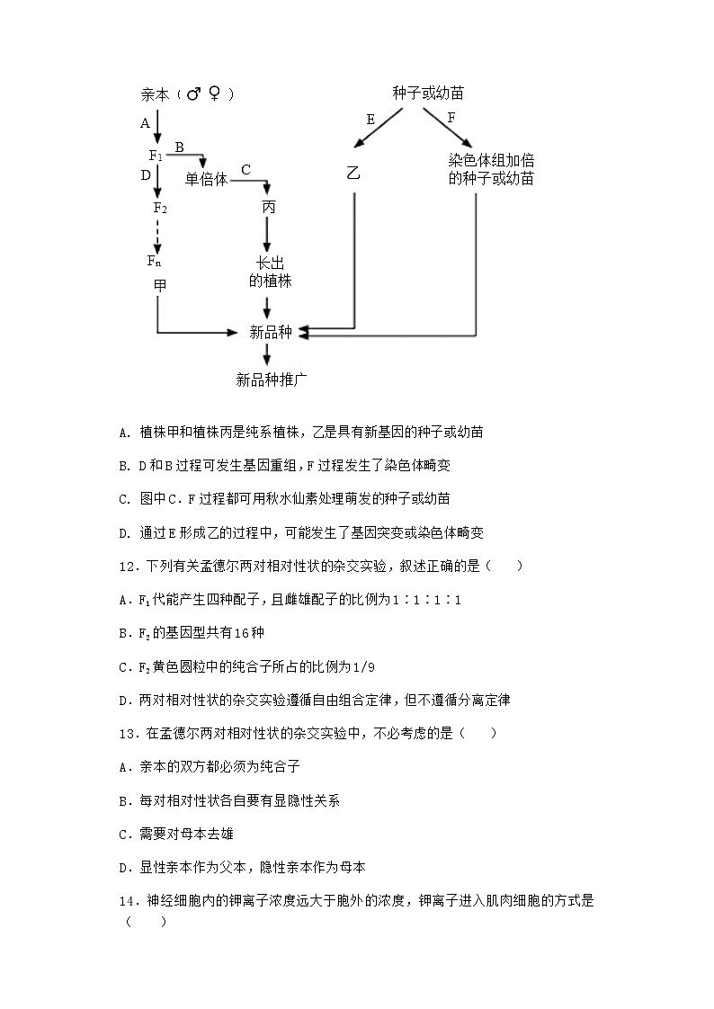 沪教版高中生物必修2第一节孟德尔遗传实验的科学方法优选作业含答案3第3页