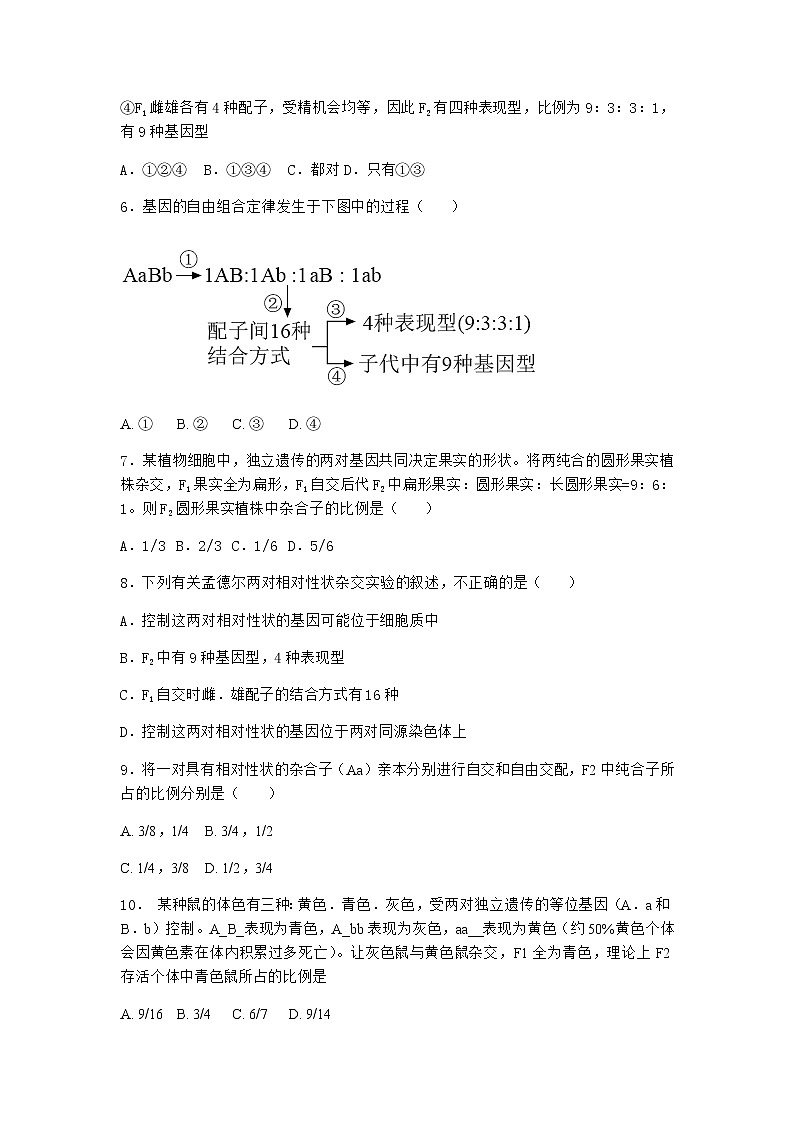 沪教版高中生物必修2第一节孟德尔遗传实验的科学方法优选作业含答案502