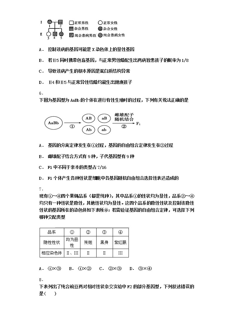 沪教版高中生物必修2第五节基因的自由组合定律在实践中的应用优选作业含答案第2页