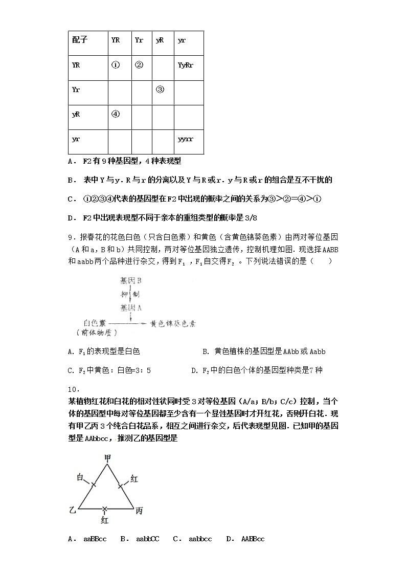 沪教版高中生物必修2第五节基因的自由组合定律在实践中的应用优选作业含答案第3页