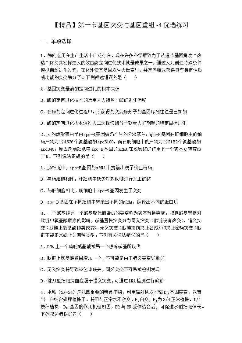 沪教版高中生物必修2第一节基因突变与基因重组优选作业含答案1第1页
