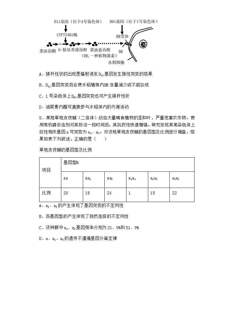 沪教版高中生物必修2第一节基因突变与基因重组优选作业含答案1第2页