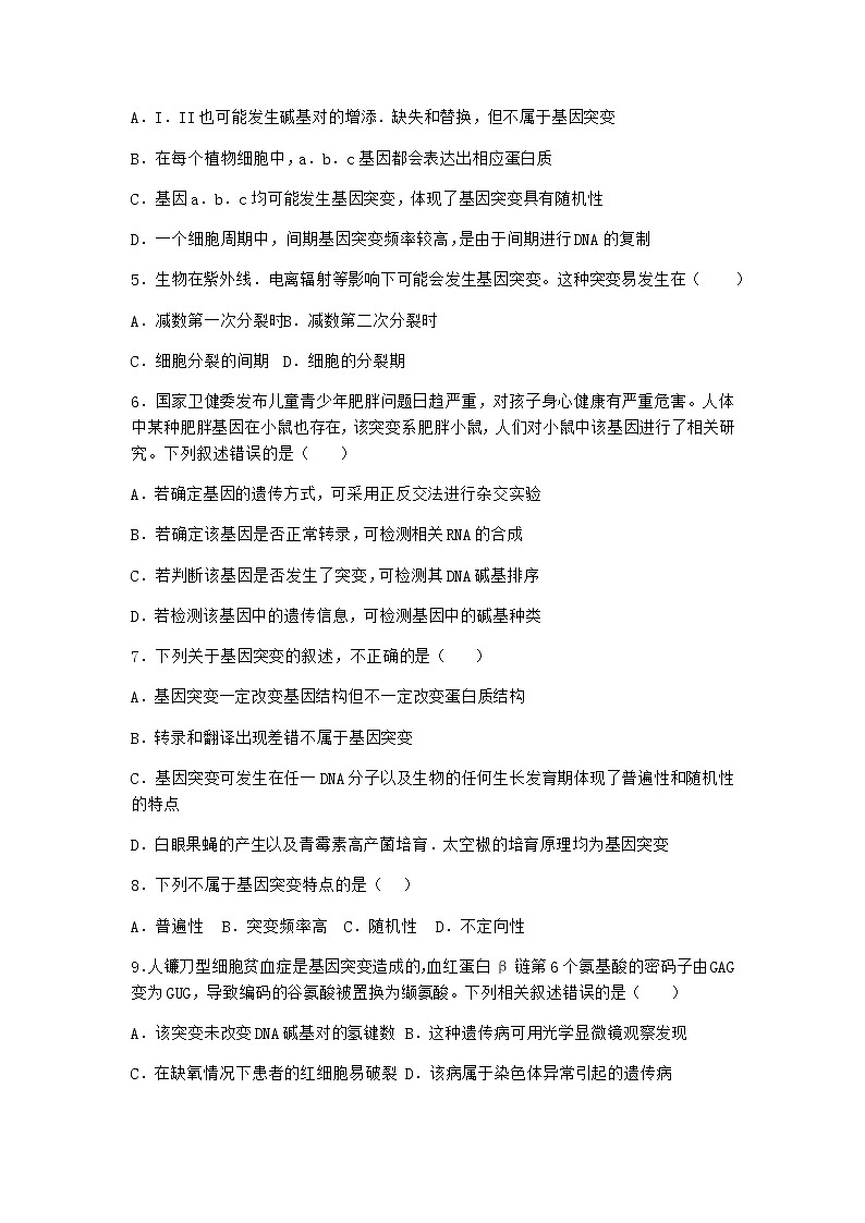 沪教版高中生物必修2第一节基因突变与基因重组优选作业含答案202