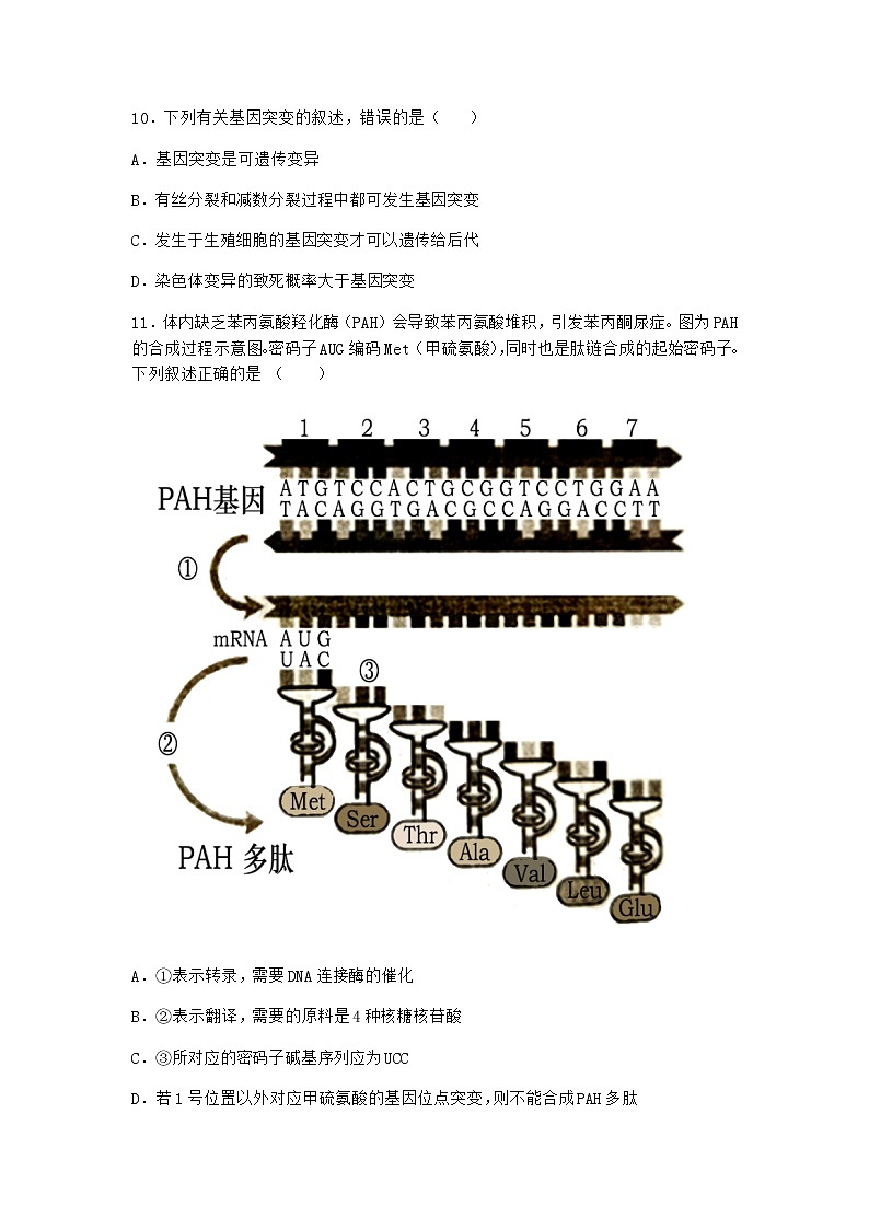 沪教版高中生物必修2第一节基因突变与基因重组优选作业含答案203