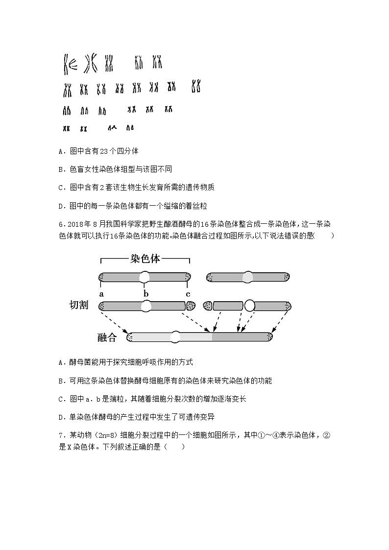 沪教版高中生物必修2第二节染色体变异优选作业含答案3第2页