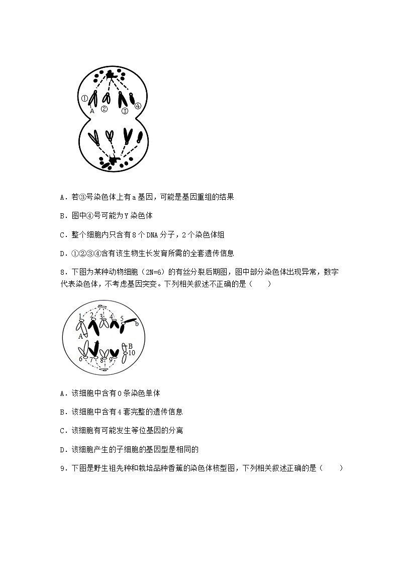 沪教版高中生物必修2第二节染色体变异优选作业含答案3第3页